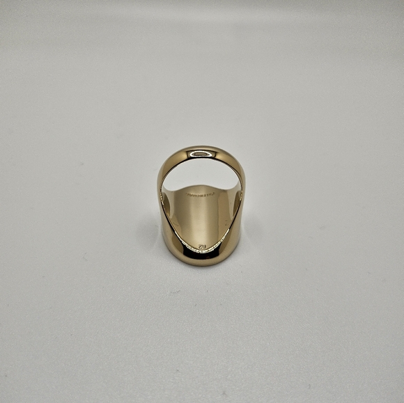 Balenciaga US 9 60 Gold Red Oval Chevaliere Ring Crest Seal Signet Coat Of Arms - Picture 8 of 13